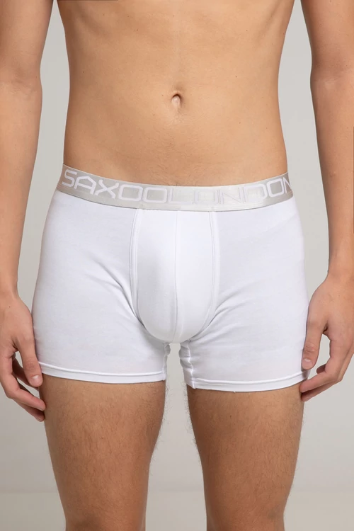 SILVER NEW Boxer (white)