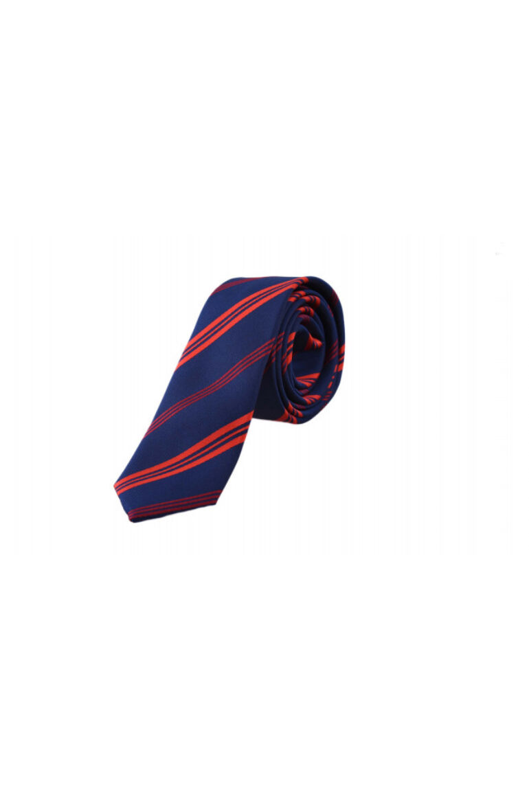 Férfi nyakkendő (WQ1337) Slim